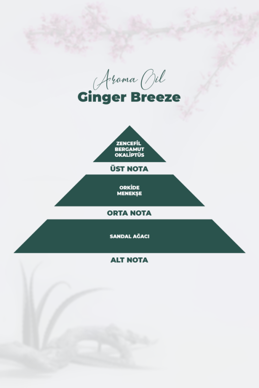 Aroma Oil Ginger Breeze Parfüm 100 ML - 2