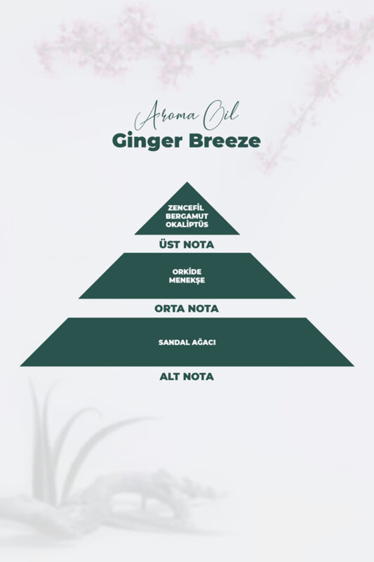 Aroma Oil Ginger Breeze Parfüm 100 ML - 5