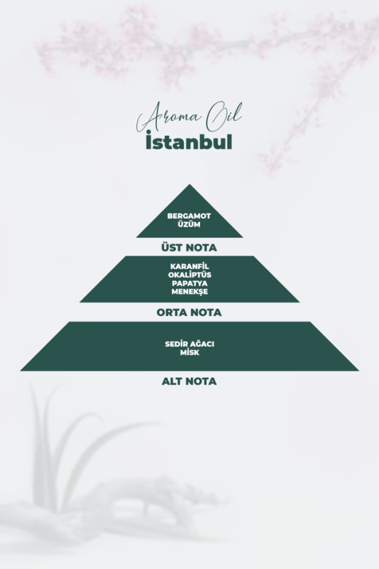 Aroma Oil İstanbul Parfüm 100 ML - 2