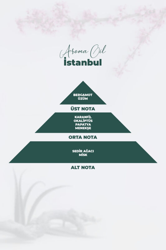 Aroma Oil İstanbul Parfüm 100 ML - 5