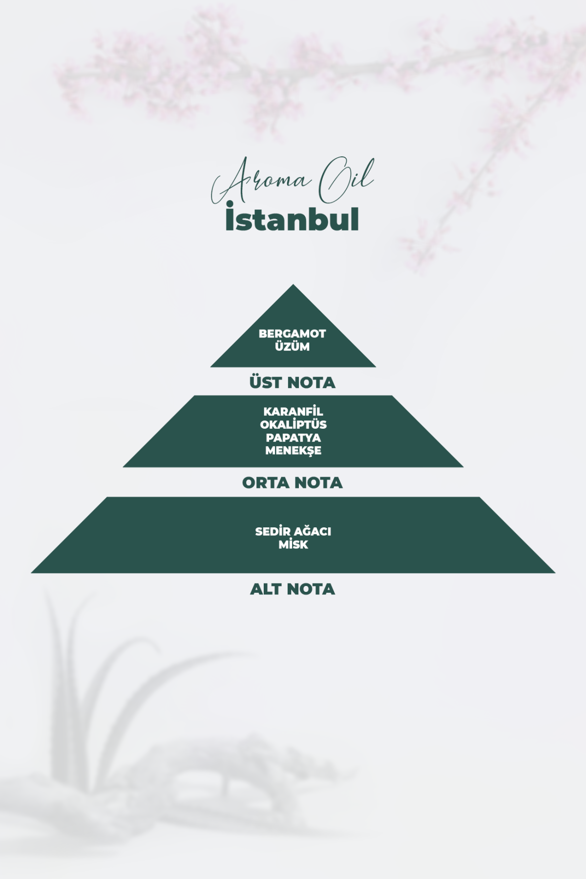 Aroma Oil İstanbul Parfüm 250 ML
